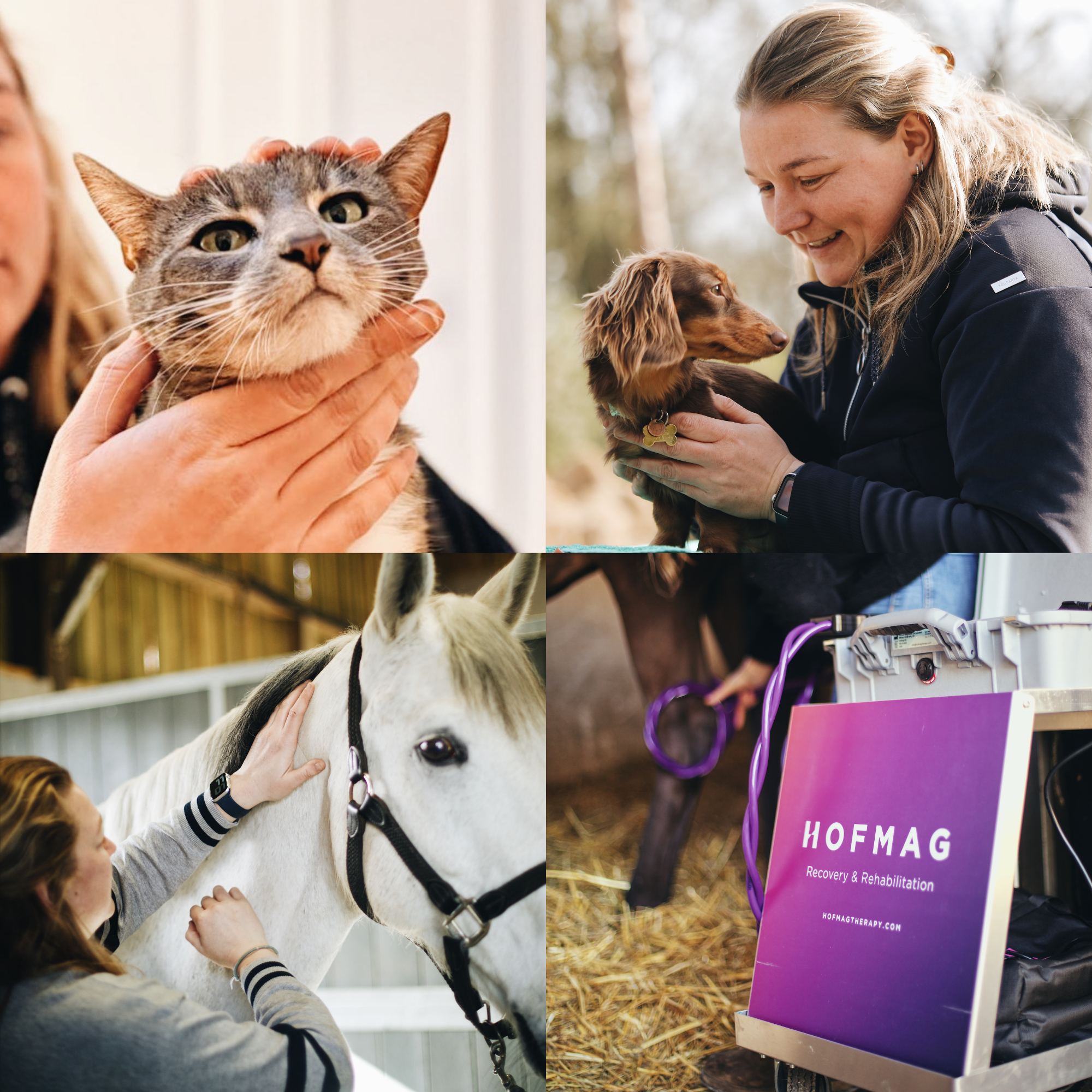 Manon Renosto, soins animaliers pour chiens, chats et chevaux