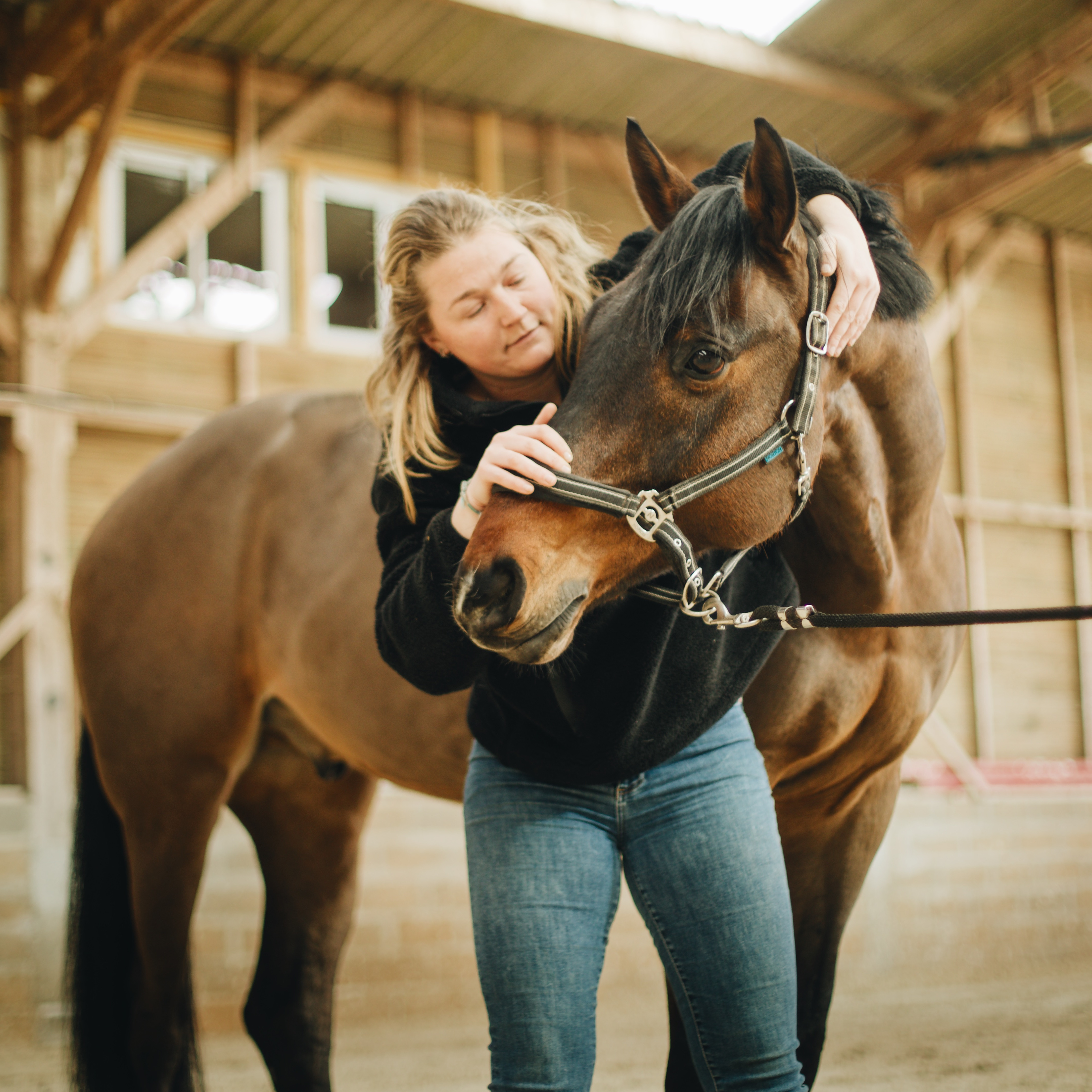 Illustration d’une séance d’ostéopathie animale pour cheval